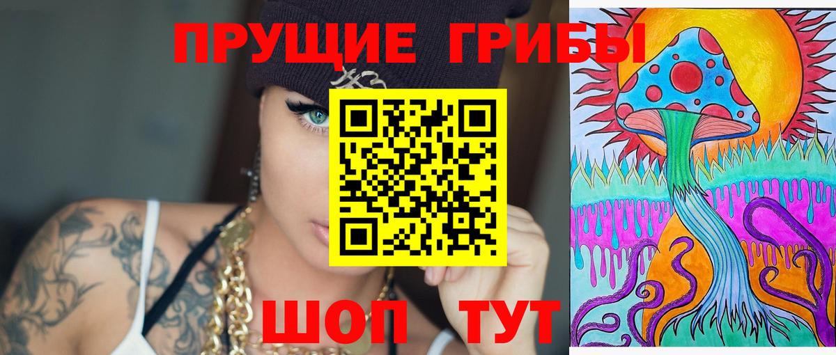 Псилоцибиновые грибы Psilocybine cubensis  Вход с VPN  закладка  Чапаевск 
