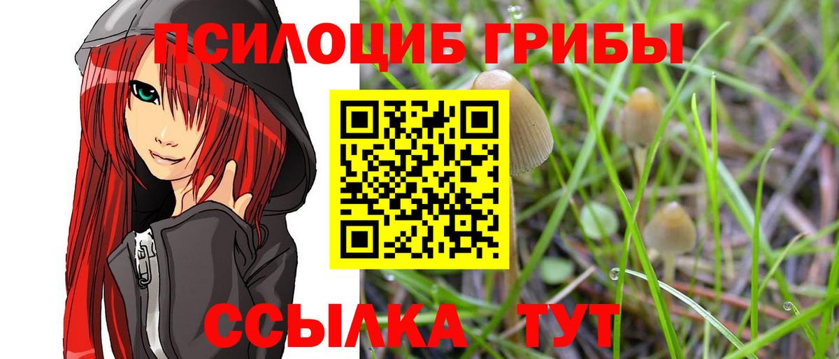 Галлюциногенные грибы Psilocybine cubensis Чапаевск